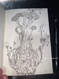 Decayed Growth